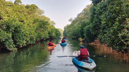 Kayaking in Goa - Image 2