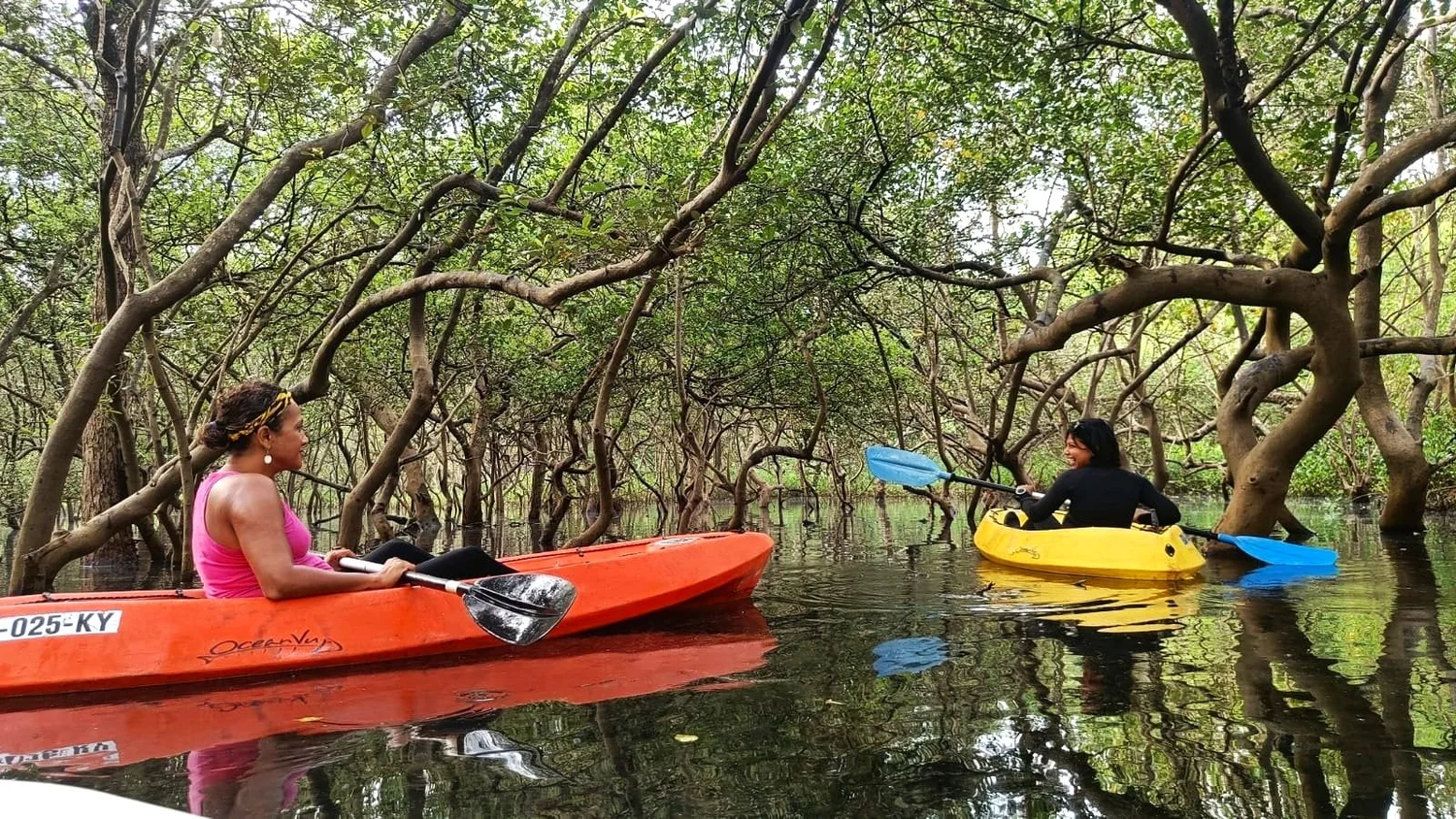 Kayaking in Goa - Image 1