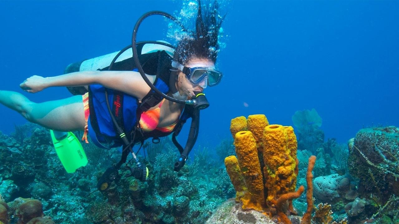 Scuba Diving in Goa