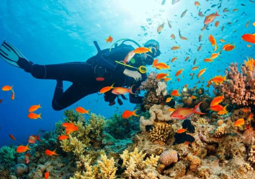 Scuba Diving in Goa - Image 1