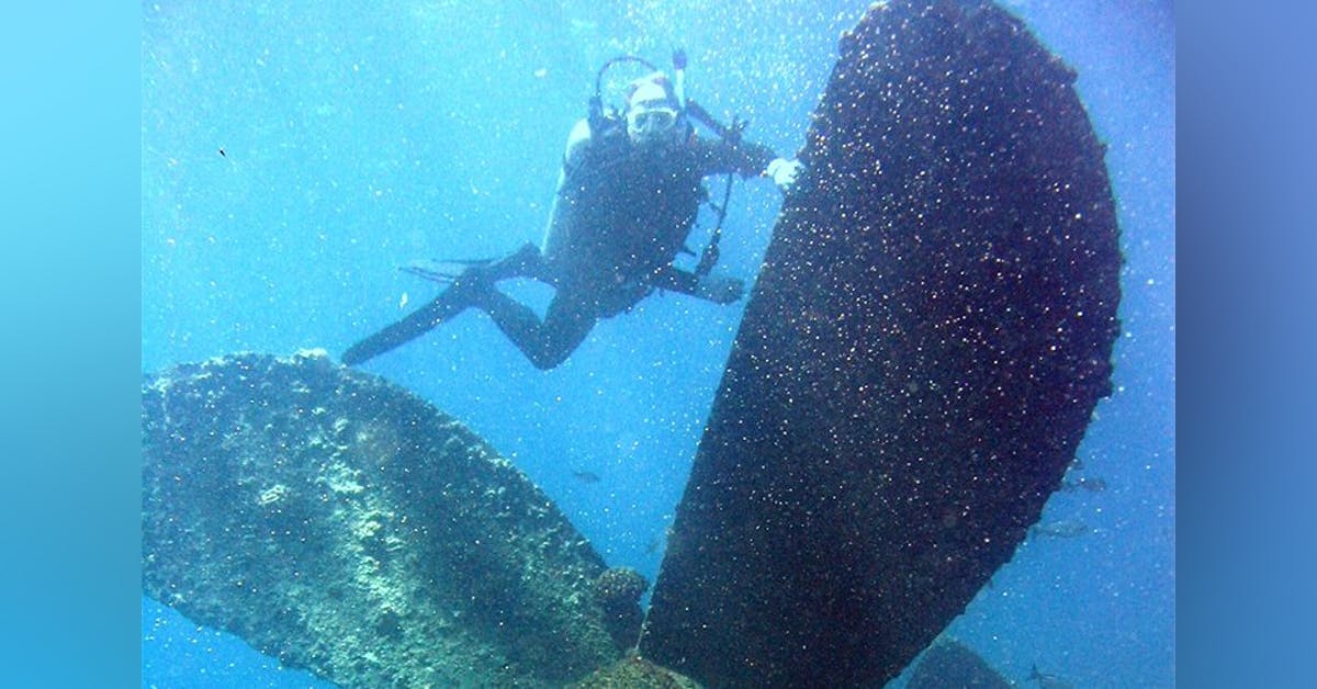 Scuba Diving in Goa - Image 3